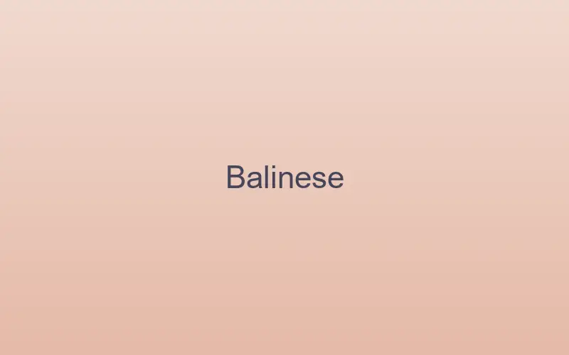 Balinese cat at home indoors