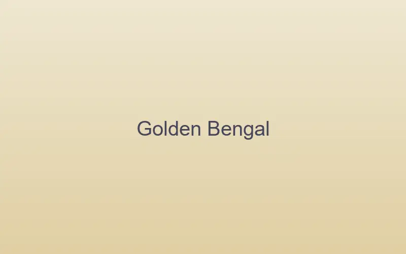 Golden Bengal cat with glittering orange-gold fur