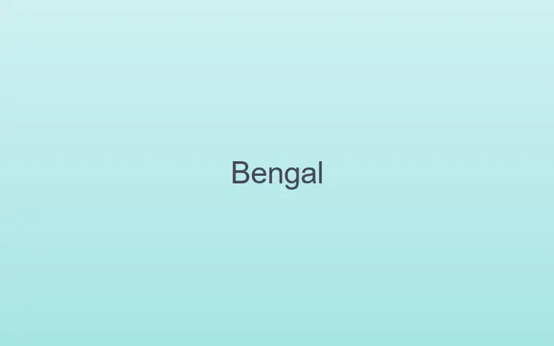 Bengal cat at home indoors