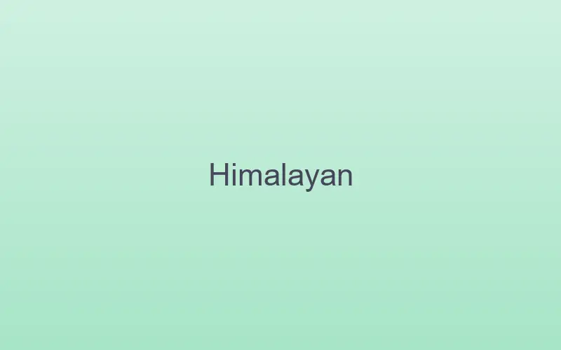 Himalayan cat relaxing indoors