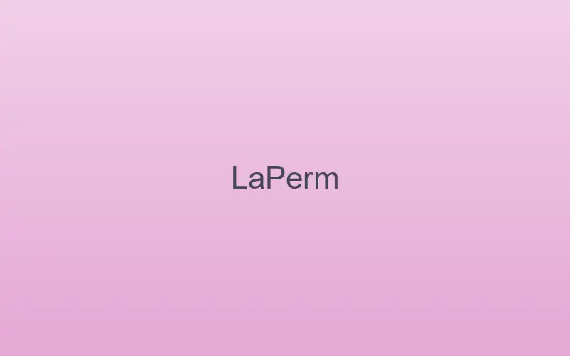 LaPerm cat at home indoors