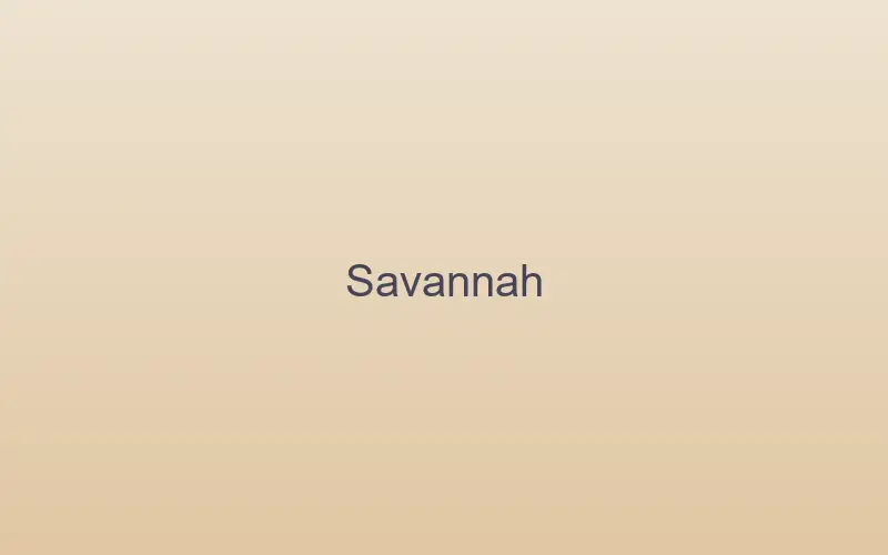 Savannah cat with large ears and spotted golden coat